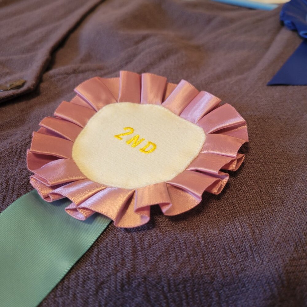 Fashion Brand Company Winners Only Shift Tank - Picture 9 of 10